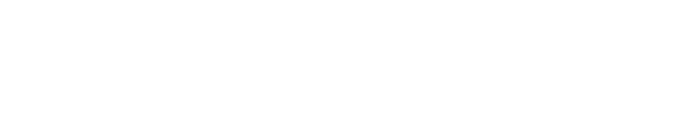 Forlaget Fiktion